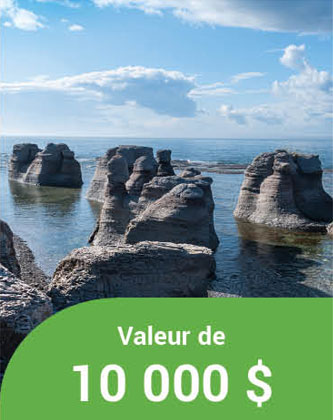 Valeur de 10000$
